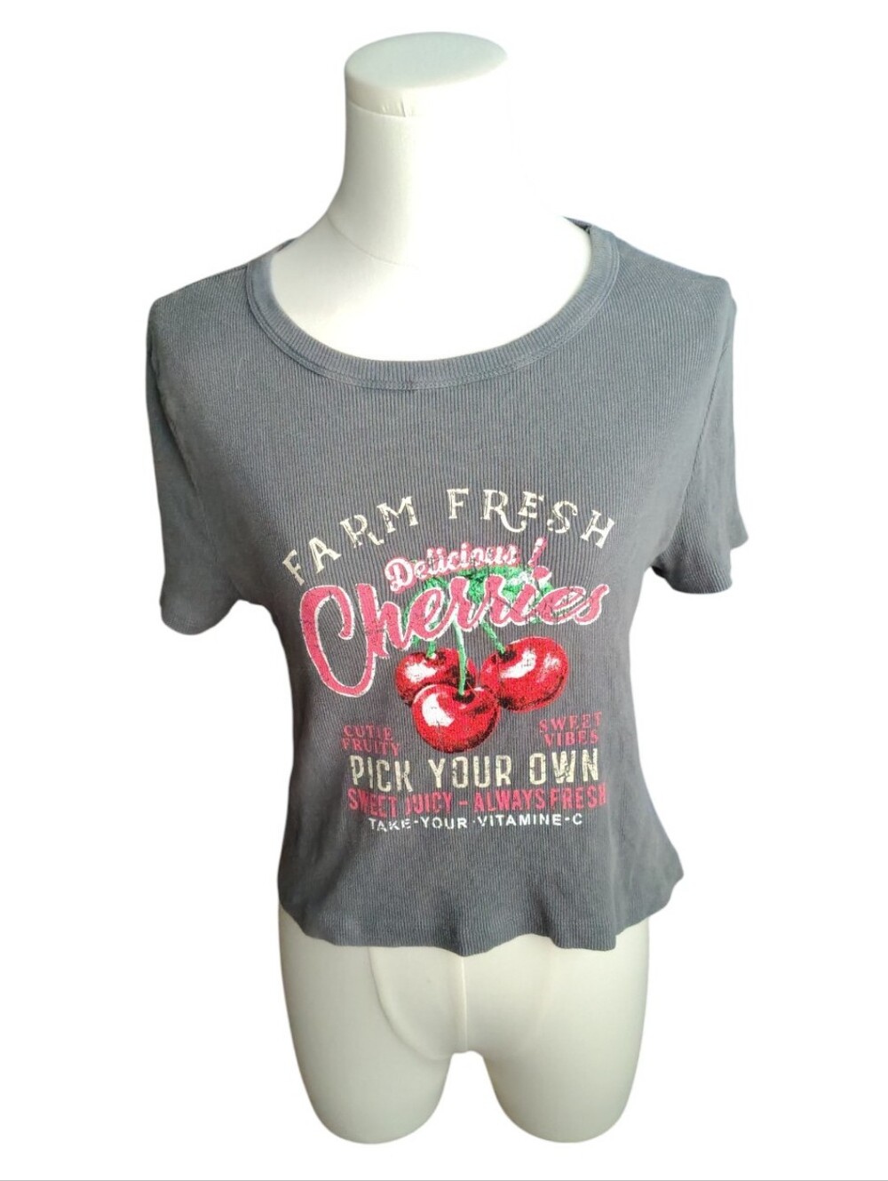 Social Culture Steel Gray Farm Fresh Red Cherries Cotton Ribbed Crop Top Size XL